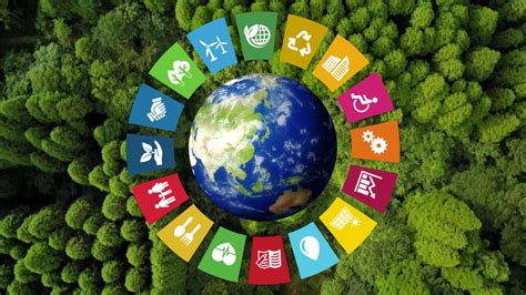 Illustration des objectifs de développement durable autour du globe, sur fond de forêt.